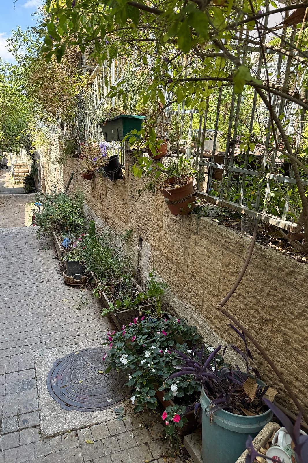 A narrow Nachlaot alley in Jerusalem, its stone wall lined with potted plants and small planted beds, greenery arching overhead and domestic life farther down.