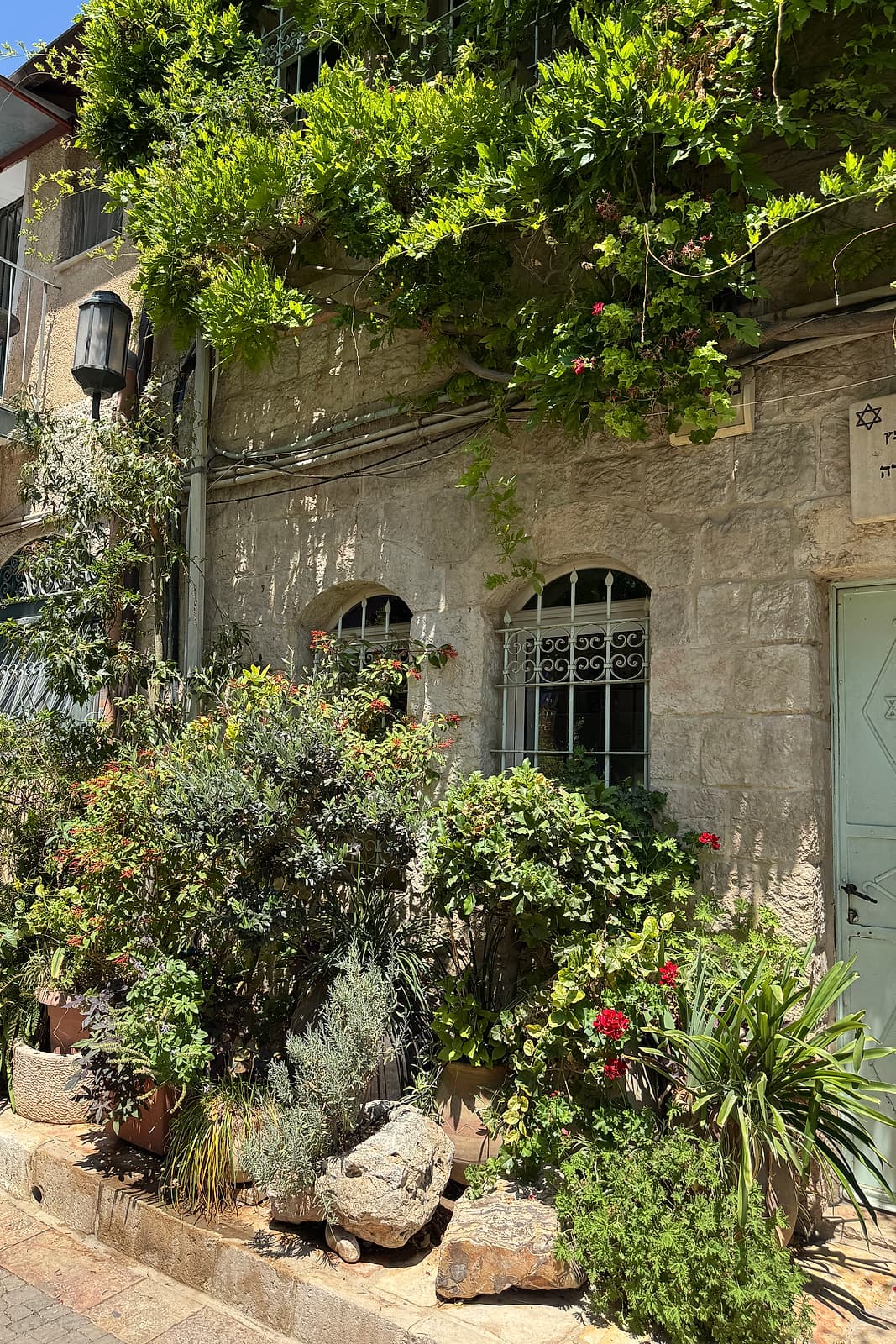 Potted plants, climbing greenery, and red geraniums crowd the stone façade of a Nachlaot home in Jerusalem, with two arched barred windows and a wall lamp.